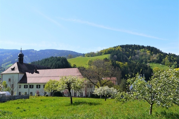 Besuch des Klostergarten Kartaus