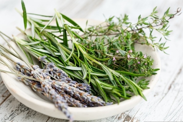 Imunstarke Kruter: Lavendel, Rosmarin und Thymian